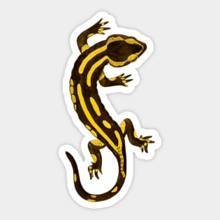 Salamander Sticker